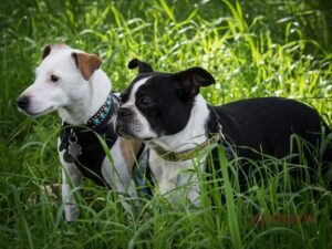 92468897_3672710109437122_1590836868323213312_n